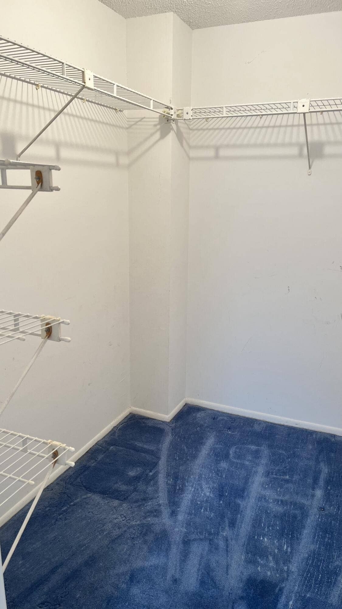 3010 N Course Drive, #312, Pompano Beach, FL 33069 Primary Walk-In Closet