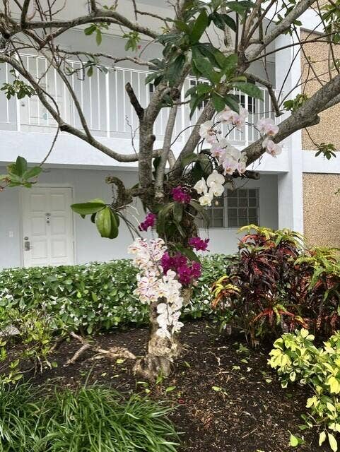3010 N Course Drive, #312, Pompano Beach, FL 33069 Bldg 38 orchids1