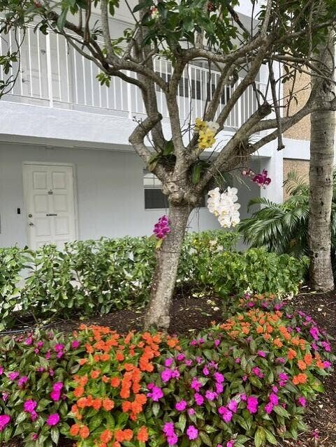 3010 N Course Drive, #312, Pompano Beach, FL 33069 Bldg 38 orchids