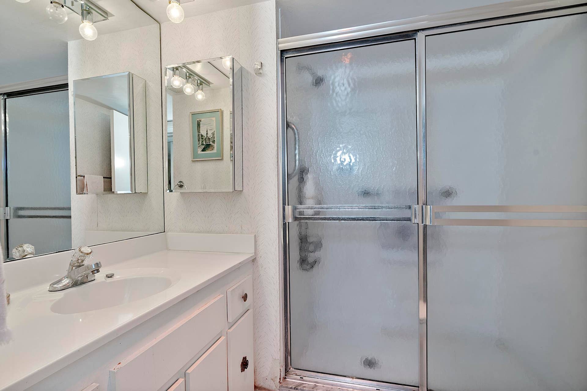 Guest Bathroom with Shower