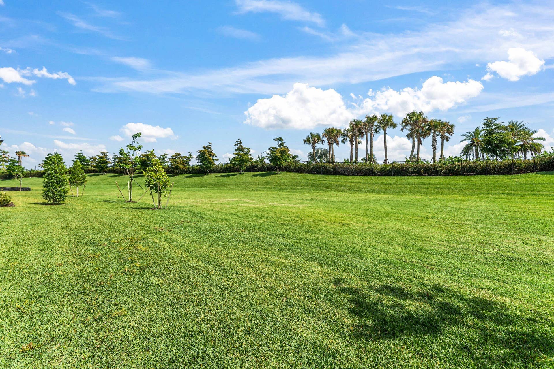 5105 Rivo Alto Circle, Westlake, FL 33470 Back yard