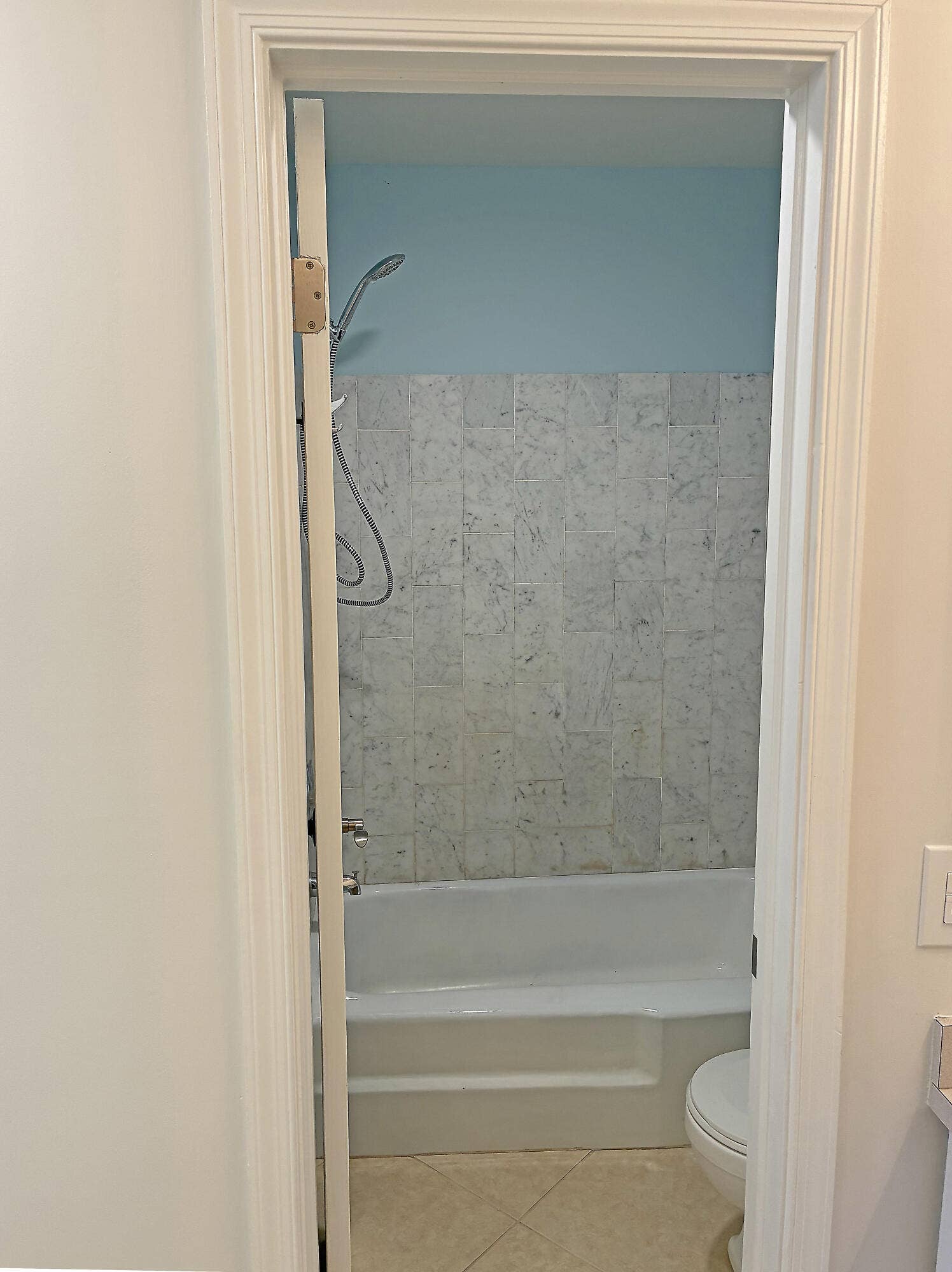 Tub,Shower & Toilet are