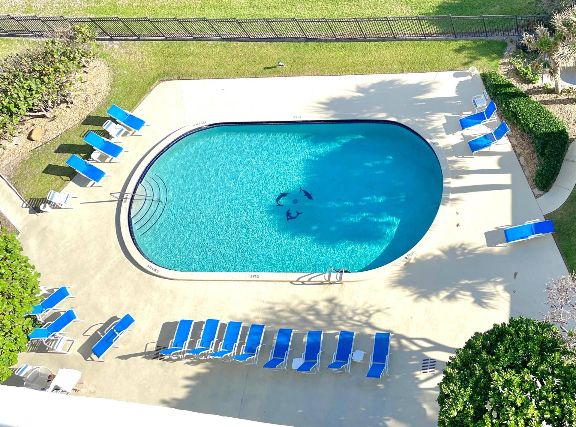 5420 N Ocean Drive, #906, Singer Island, Singer Island, FL 33404 Pool