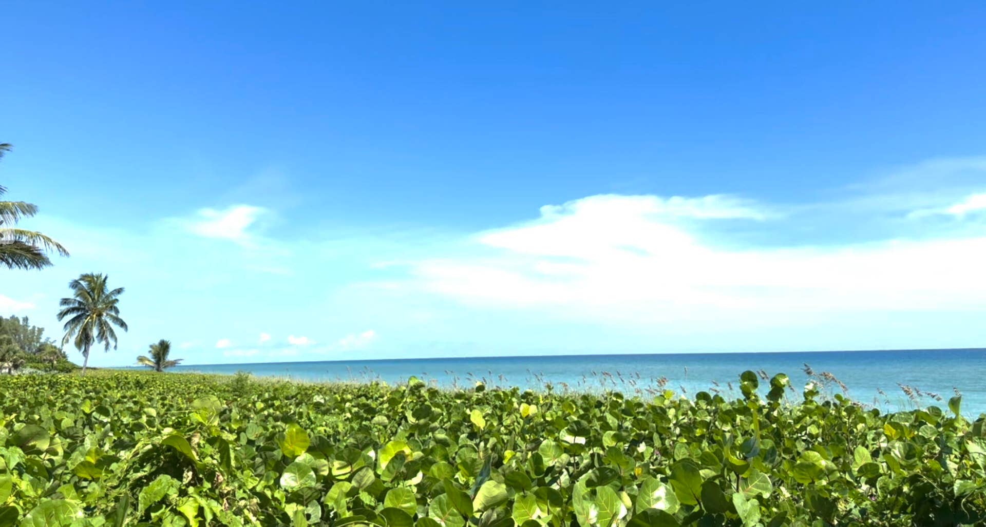 50 Celestial Way, #305, Juno Beach, FL 33408 Beach by the community