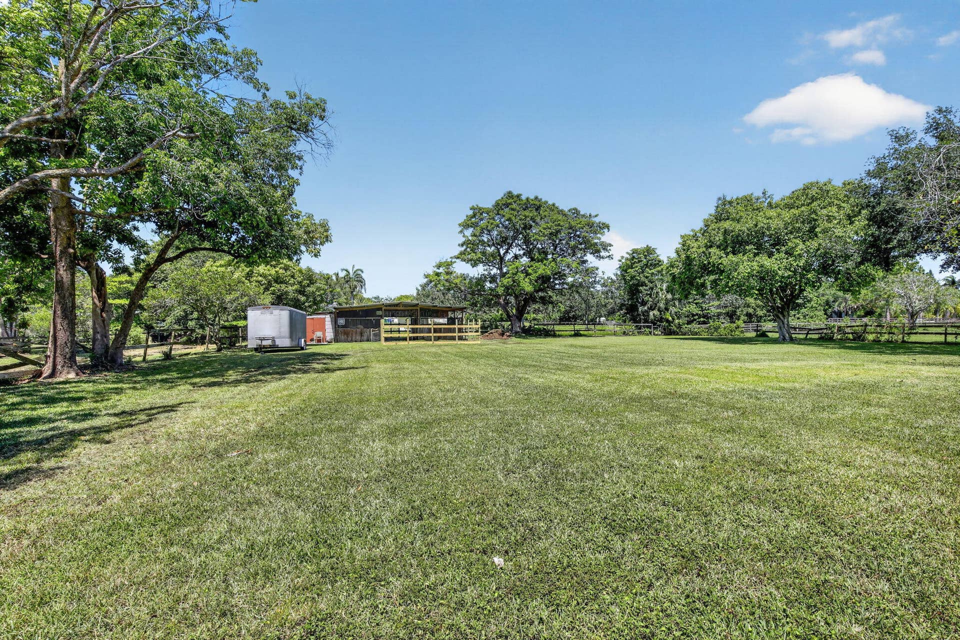 Backyard
