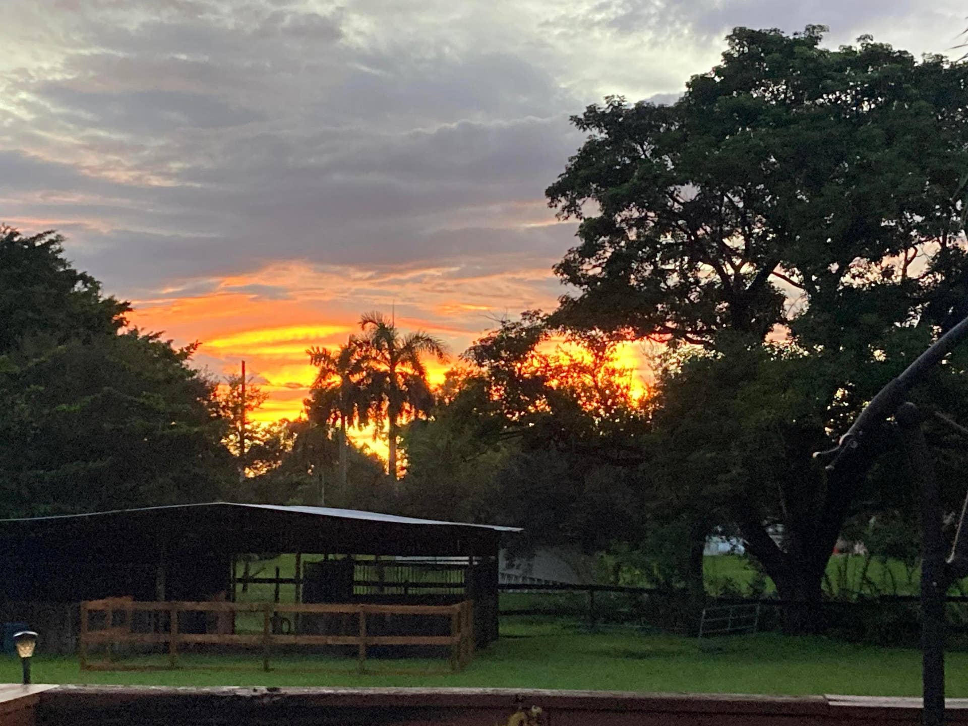 Backyard Sunset