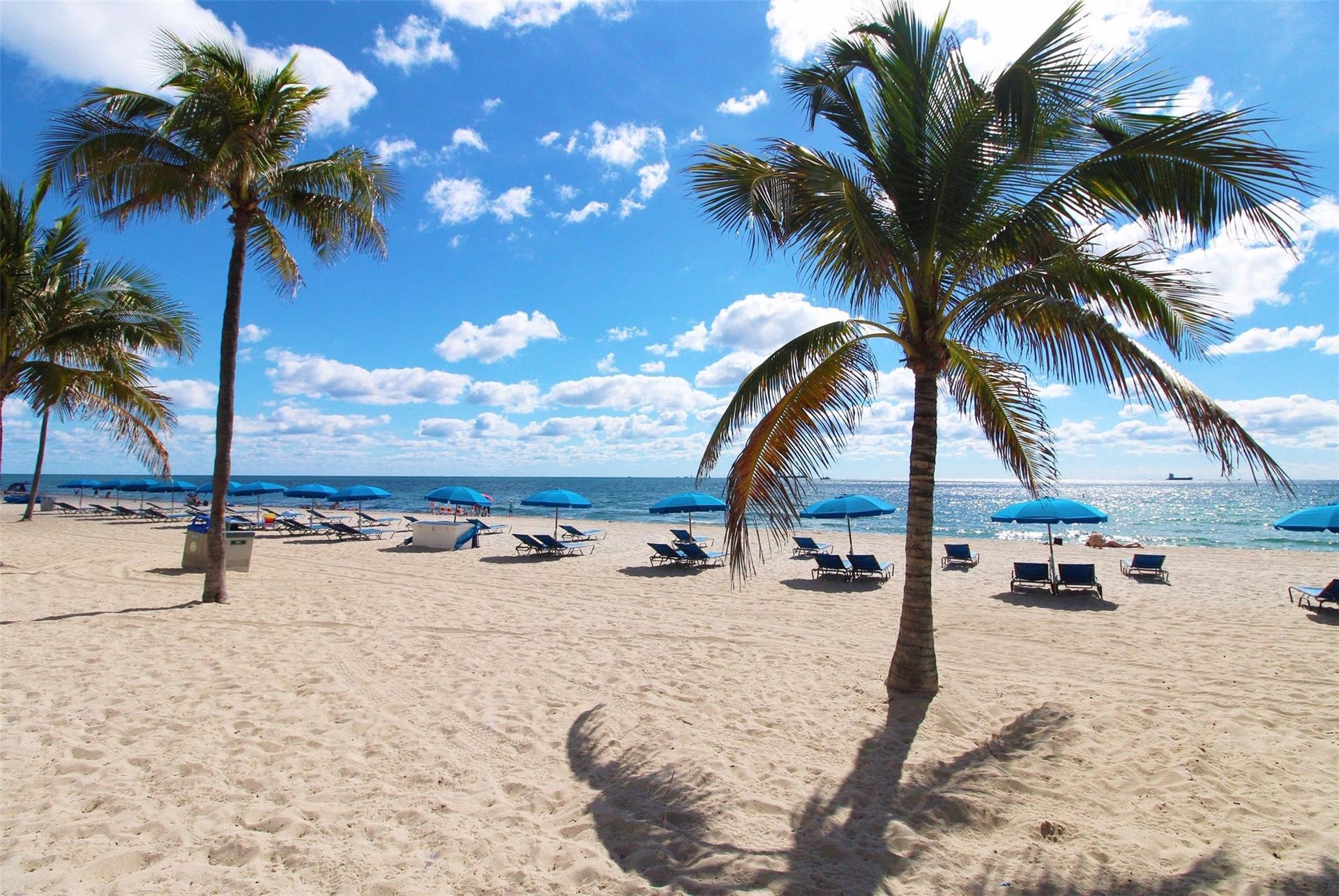 3015 Seville Street, #7, Fort Lauderdale, Fort Lauderdale, FL 33304 Beach 100 yards fromentrance!