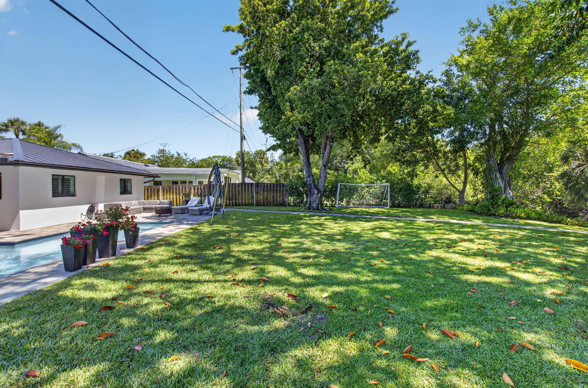 Back yard