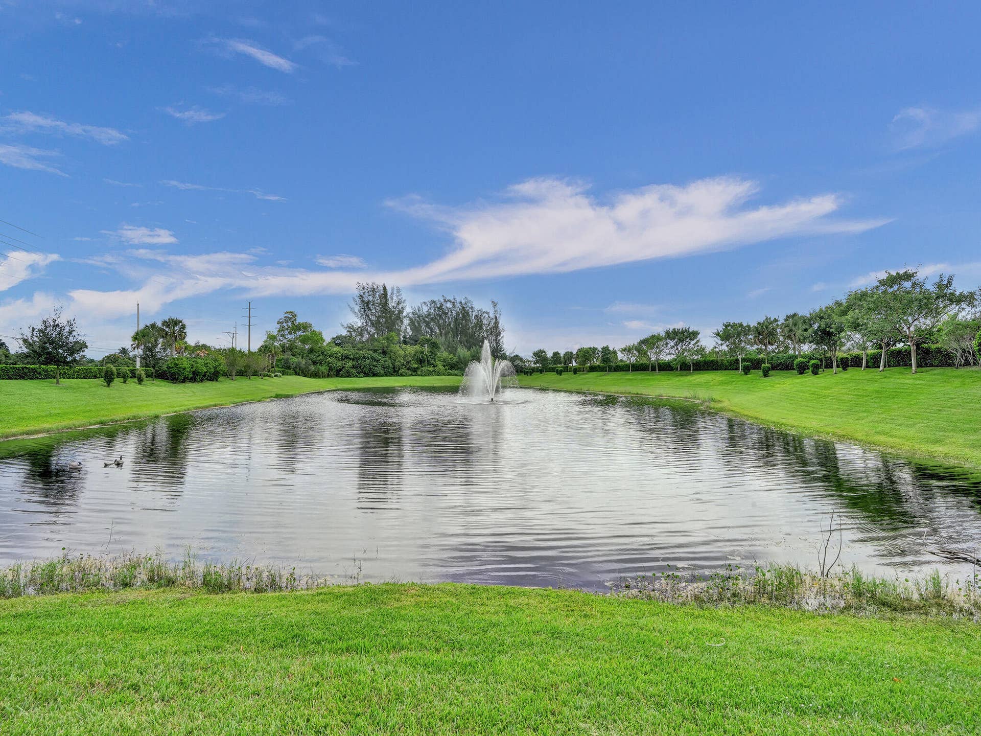 8334 W Blue Spring Drive, #8334, Parkland, FL 33067 DSC02265