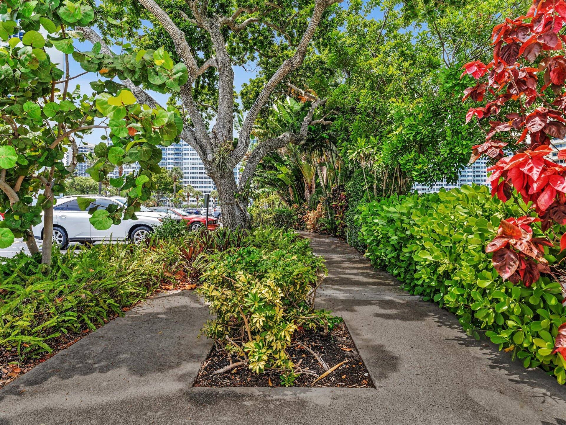 3300 NE 36th Street, #721, Fort Lauderdale, FL 33308 Orchid trails