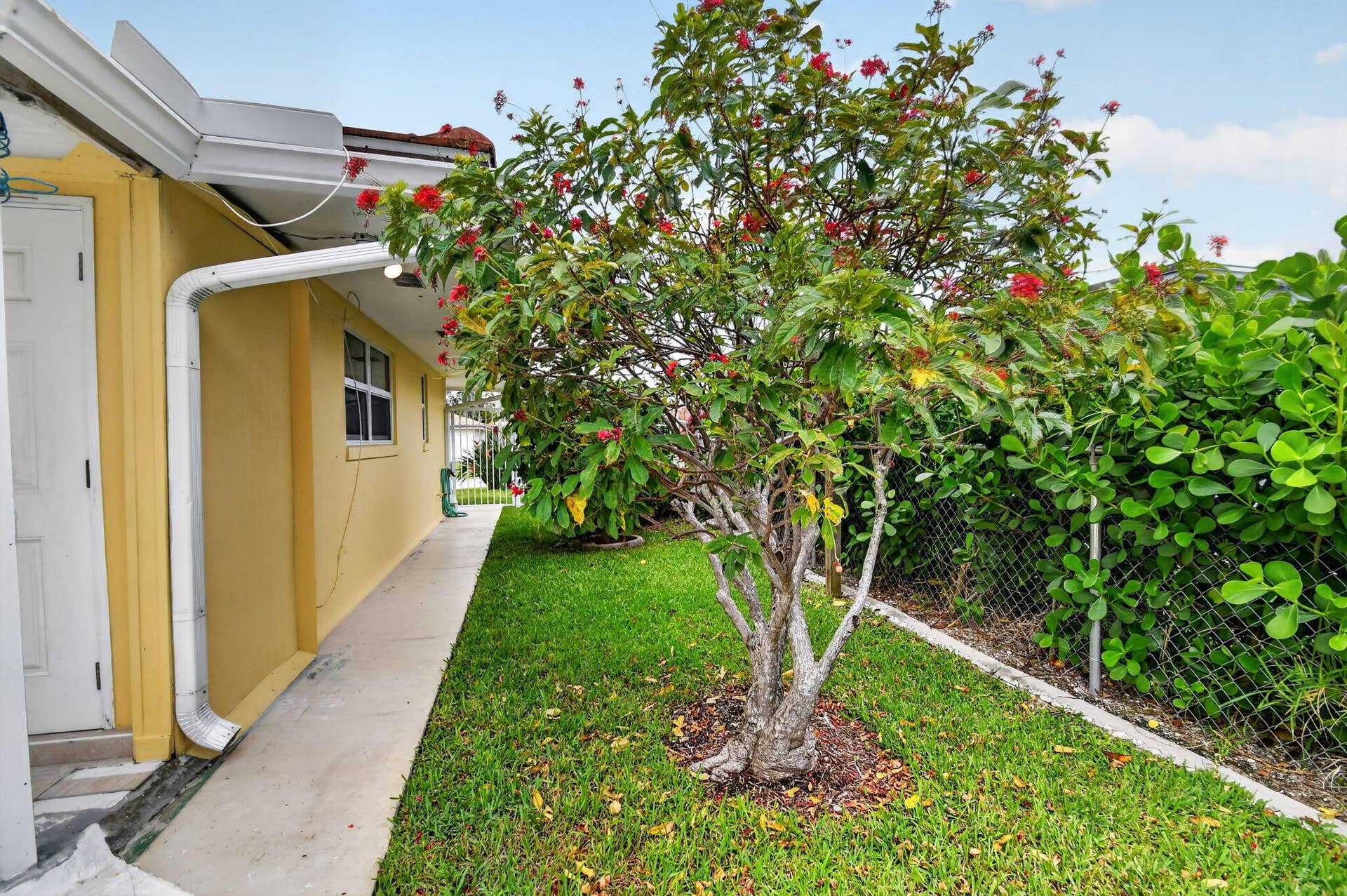 1221 Singer Drive, Singer Island, Singer Island, FL 33404 45-web-or-mls-1221 Singer Dr (45)