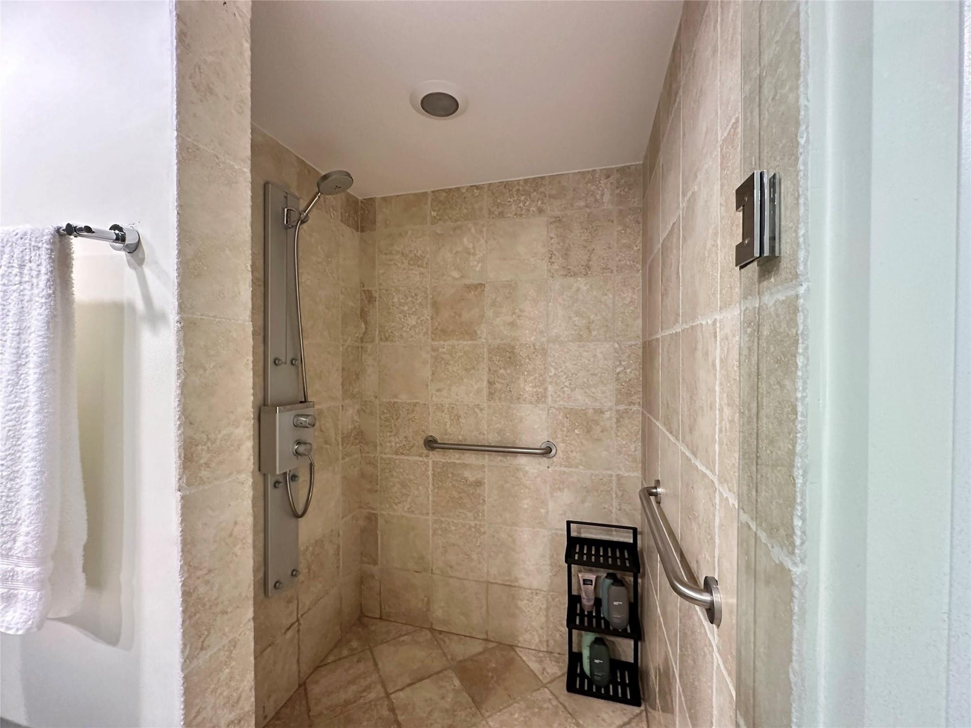 Master bath shower
