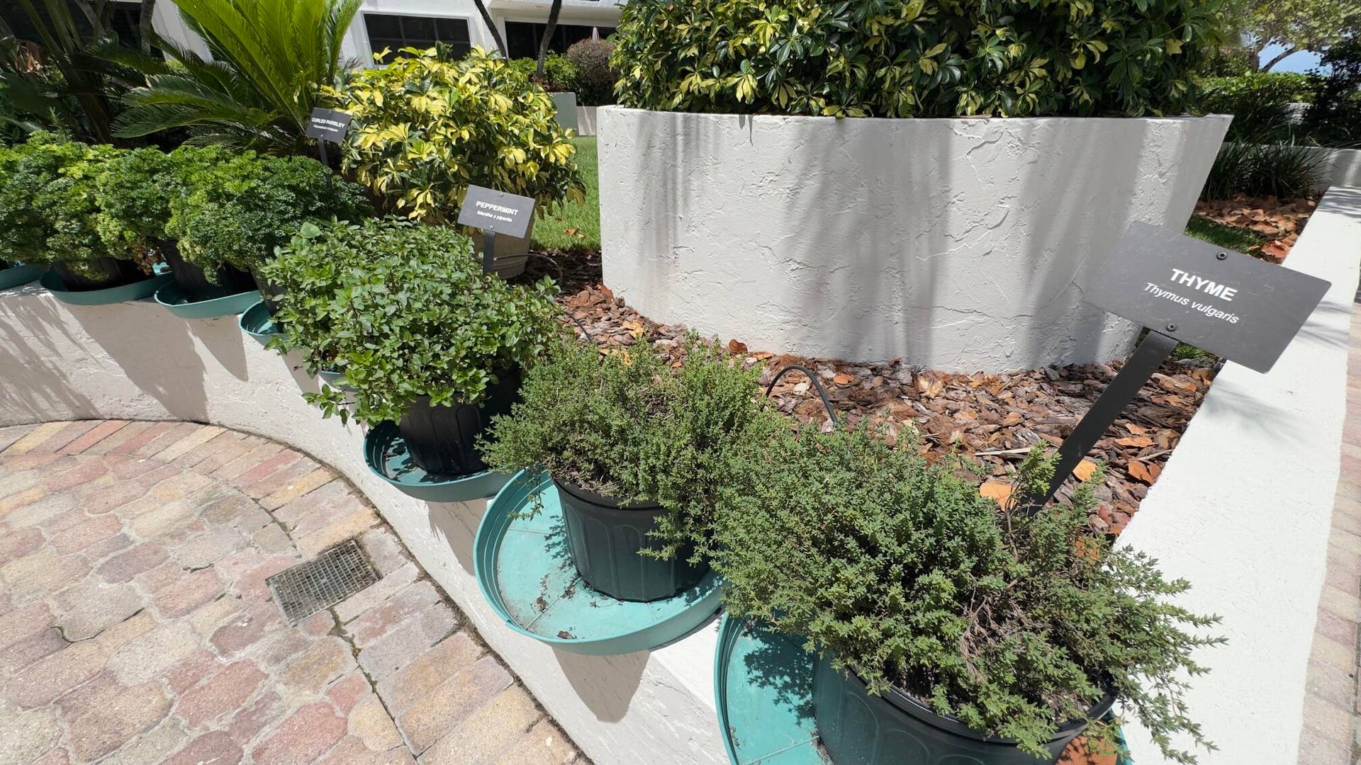 5100 N Ocean Boulevard, #804, Lauderdale By The Sea, FL 33308 Spices Garden