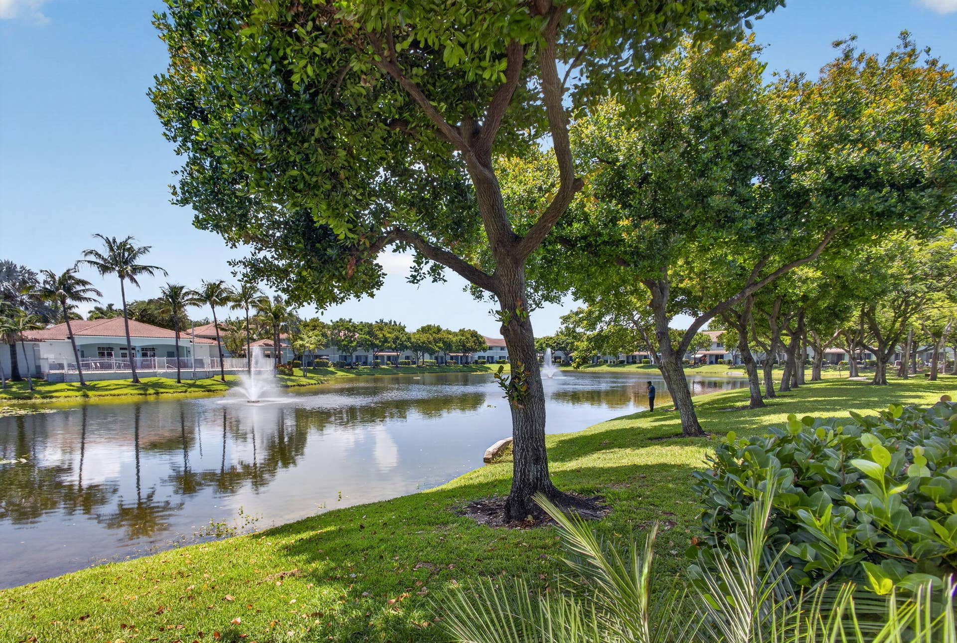44-web-or-mls-5D1A5687
