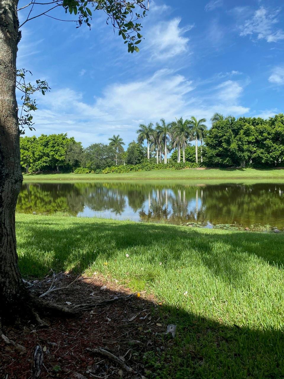 2253 Salerno Circle, #2253, Weston, FL 33327 Photo 3