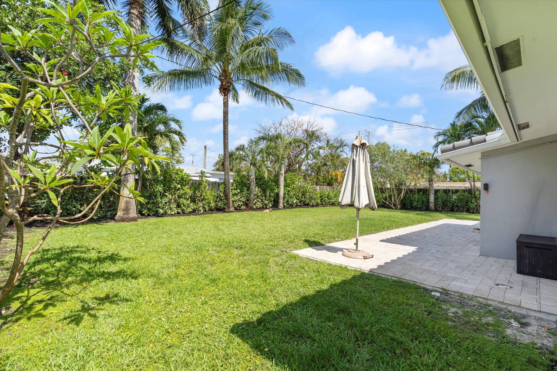 4461 NE 19th Avenue, Oakland Park, FL 33308 Yard