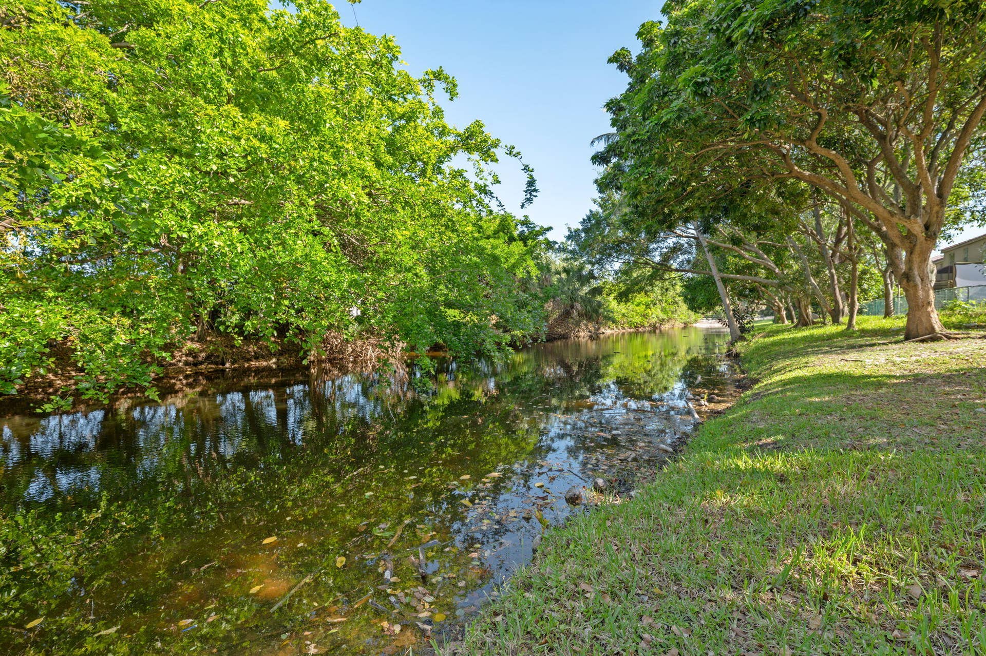 Water View