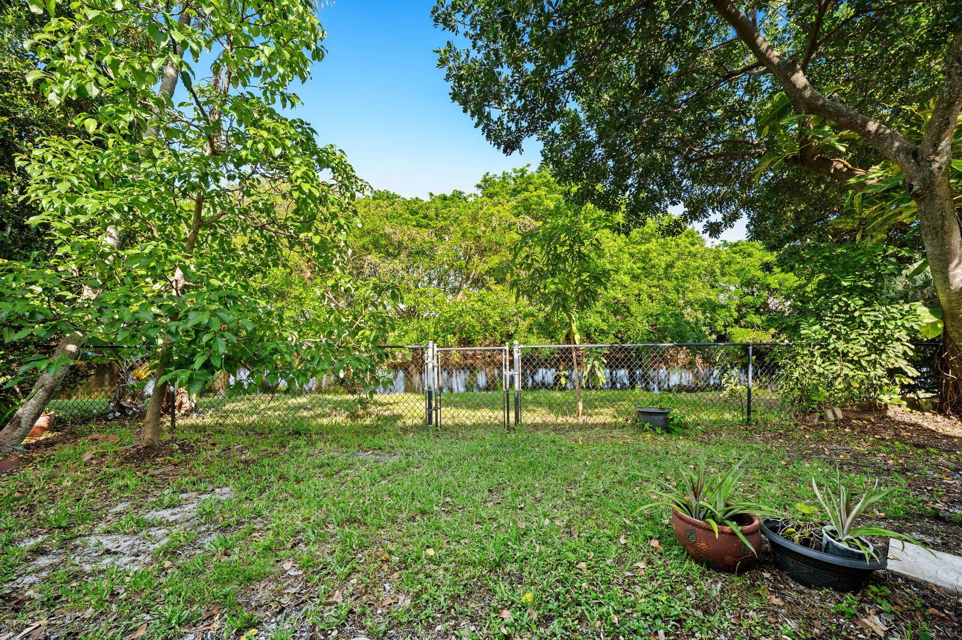 Back Yard