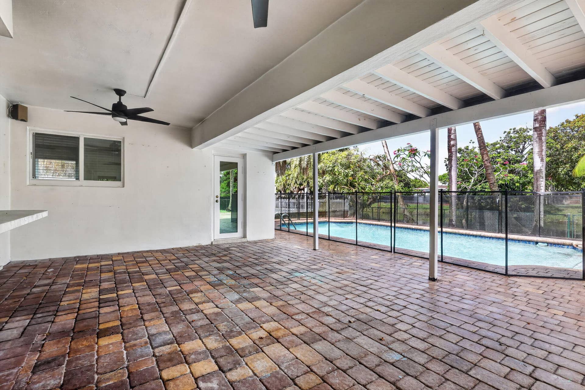 45-web-or-mls-8H3A2993