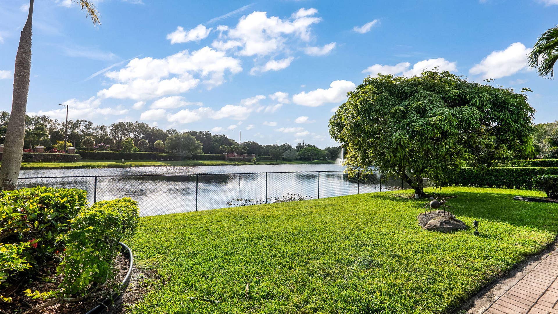 40-web-or-mls-DSC08143