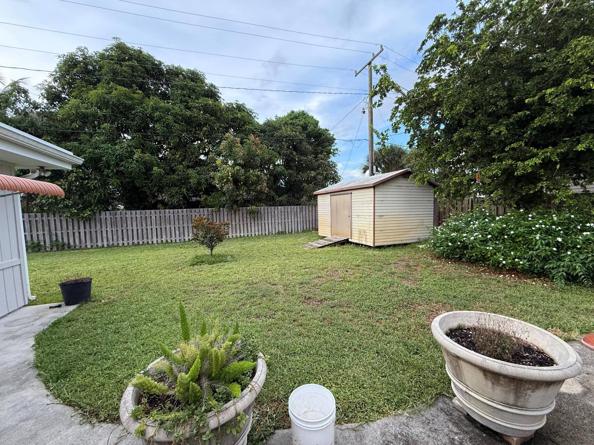 Shed & Yard