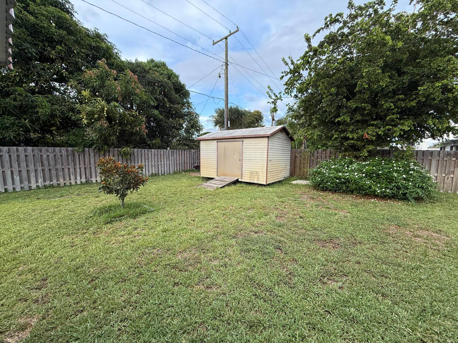 Shed