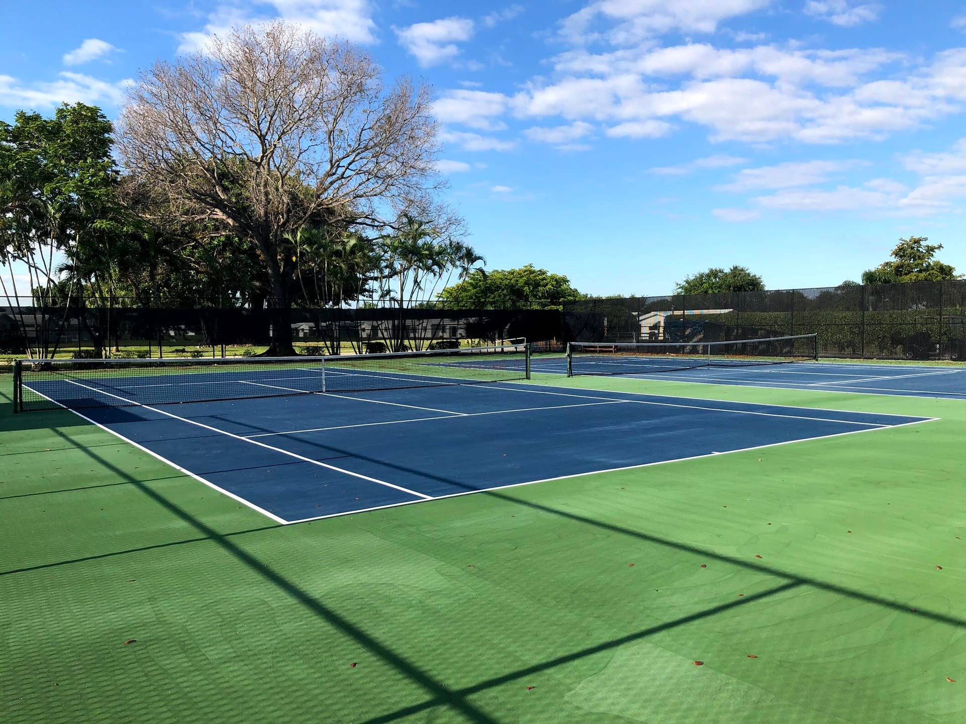 tennis (1)
