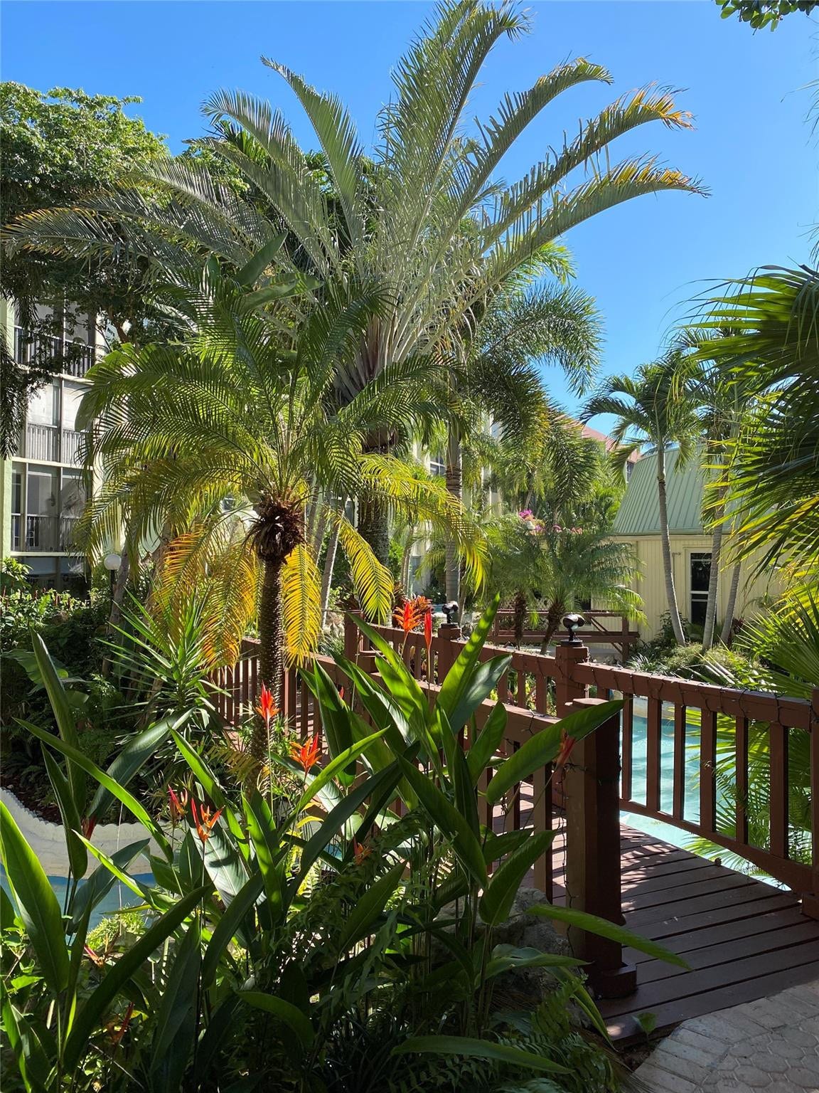 5300 NE 24th Terrace, #211c, Fort Lauderdale, Fort Lauderdale, FL 33308 Photo 23