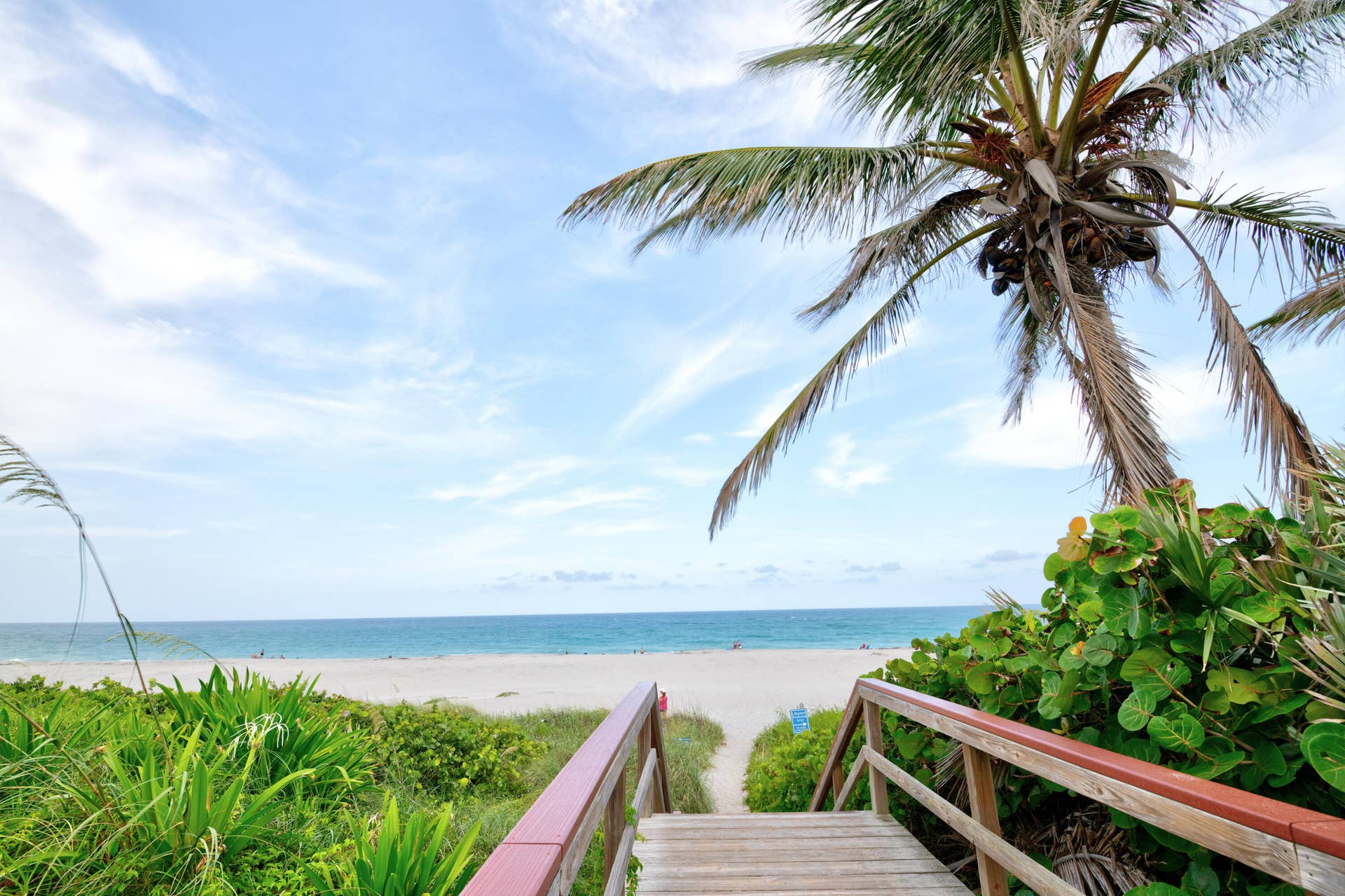 Area - Beach 2