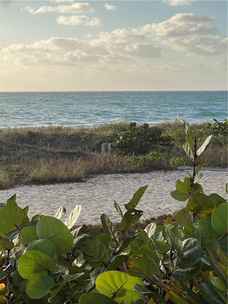 1800 S Ocean Boulevard, #501, Lauderdale By The Sea, FL 33062 Ocean front