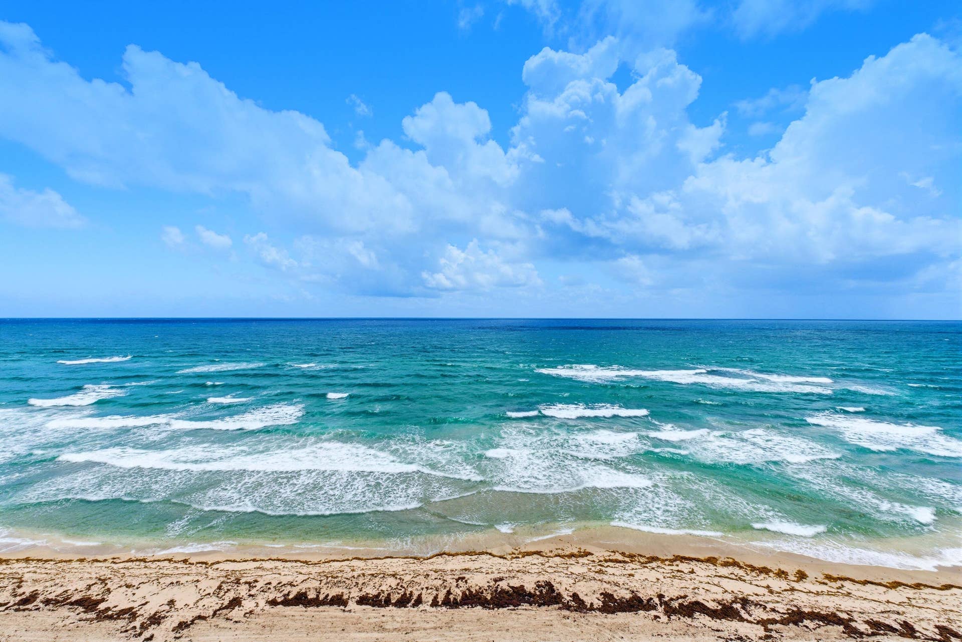 1167 Hillsboro Mile, #707, Hillsboro Beach, FL 33062 Building