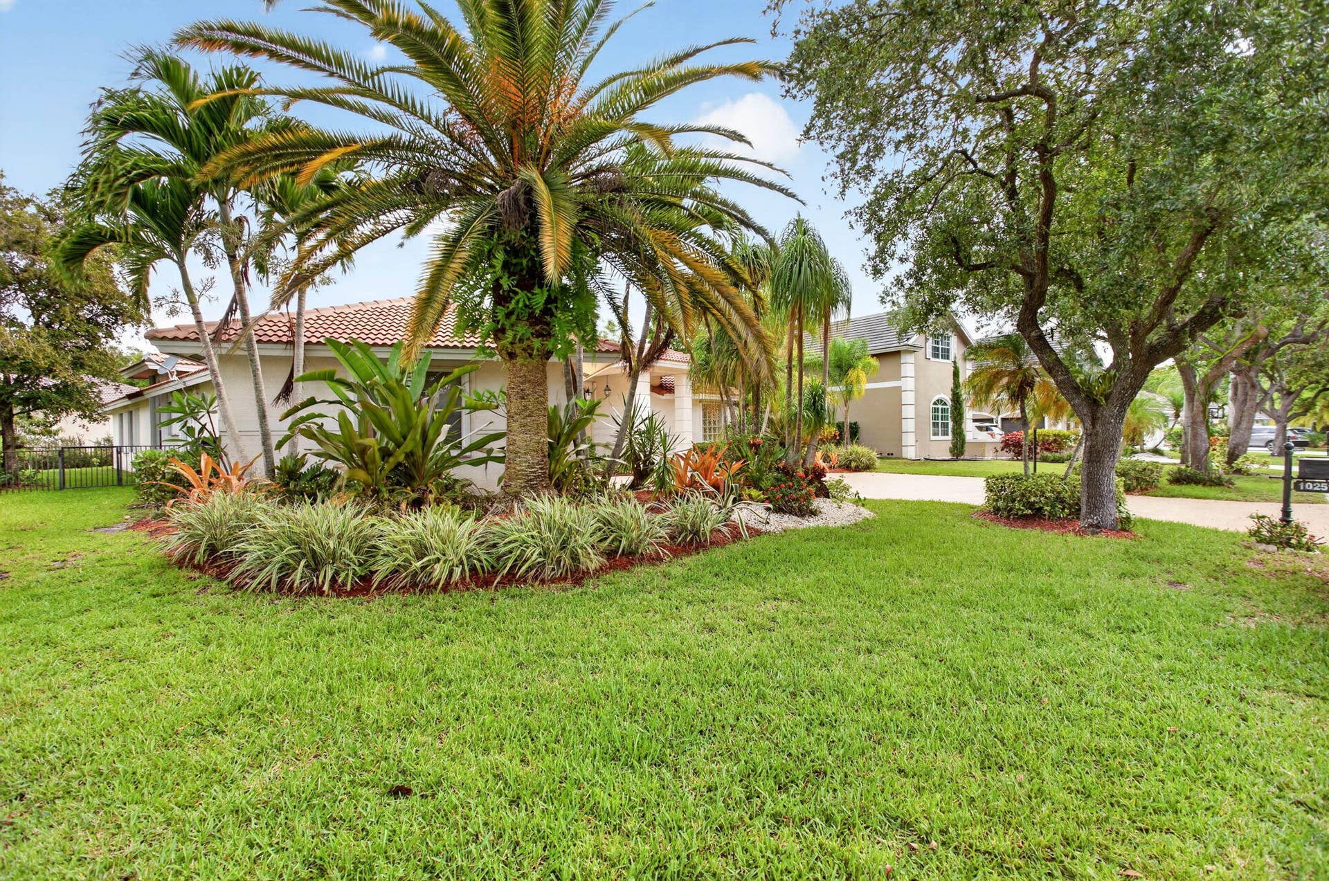 Lush front yard!