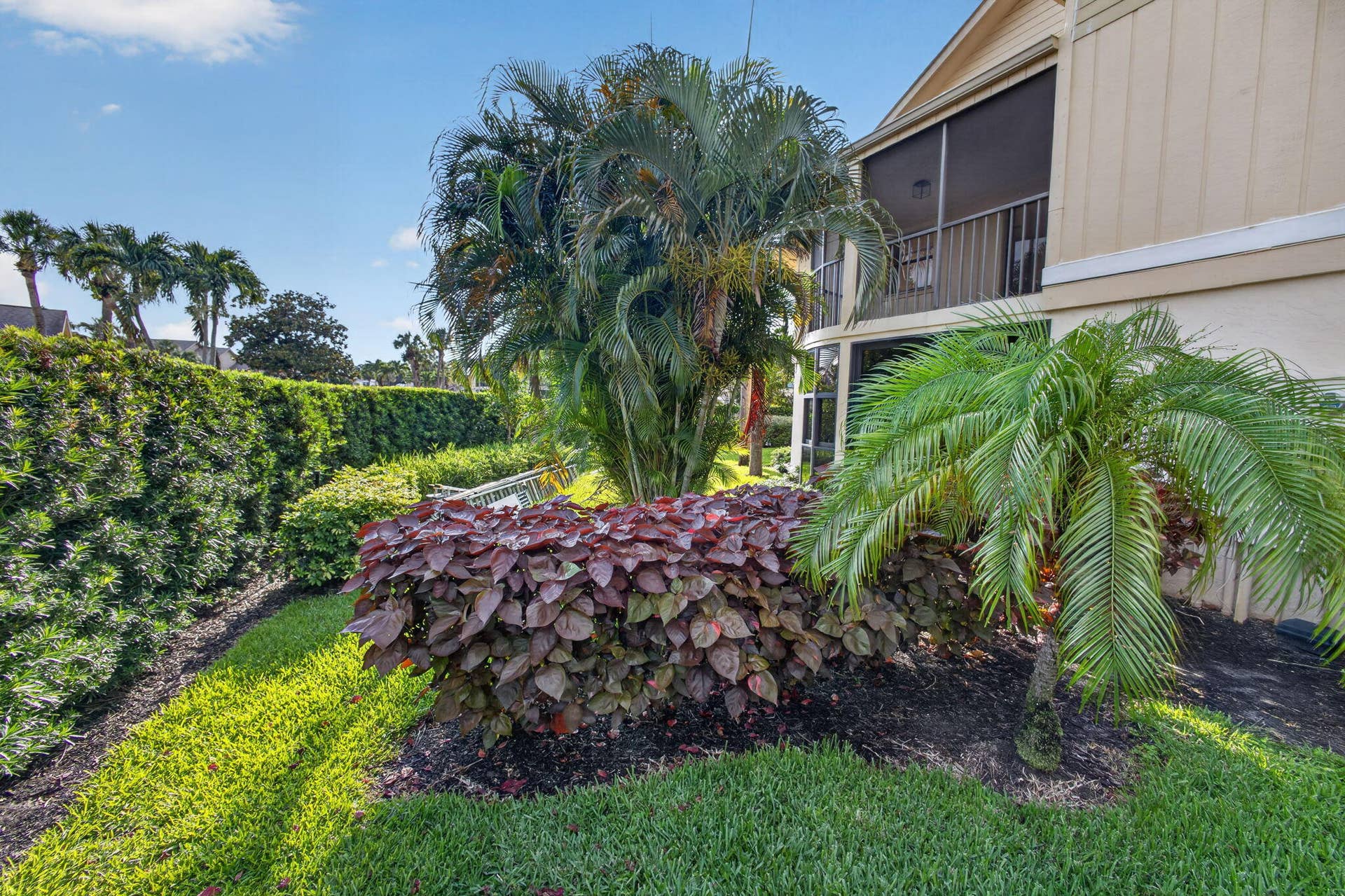 34-web-or-mls-5D1A5238