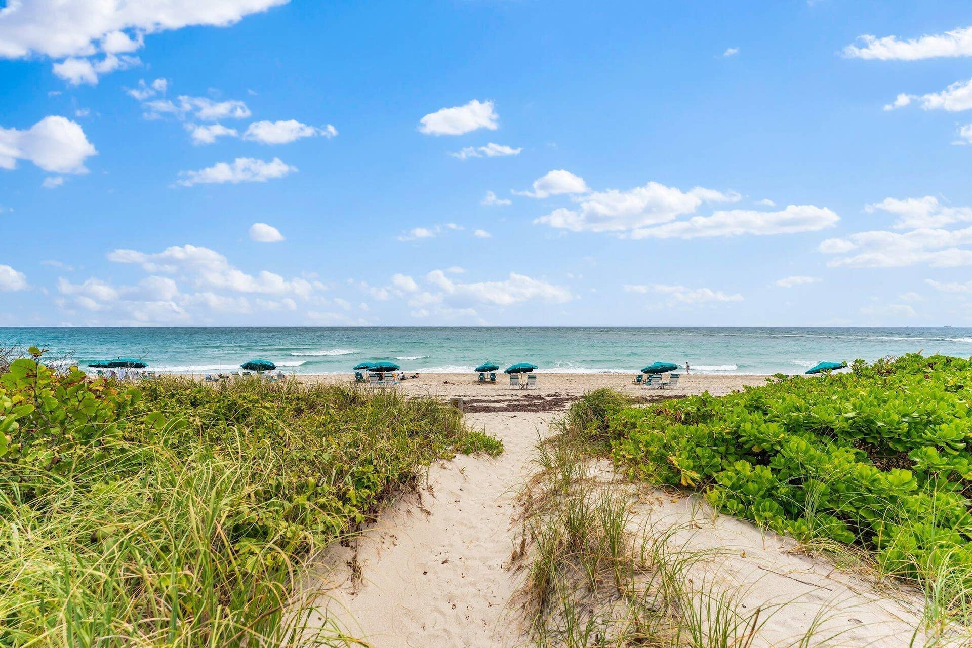 Beach Path