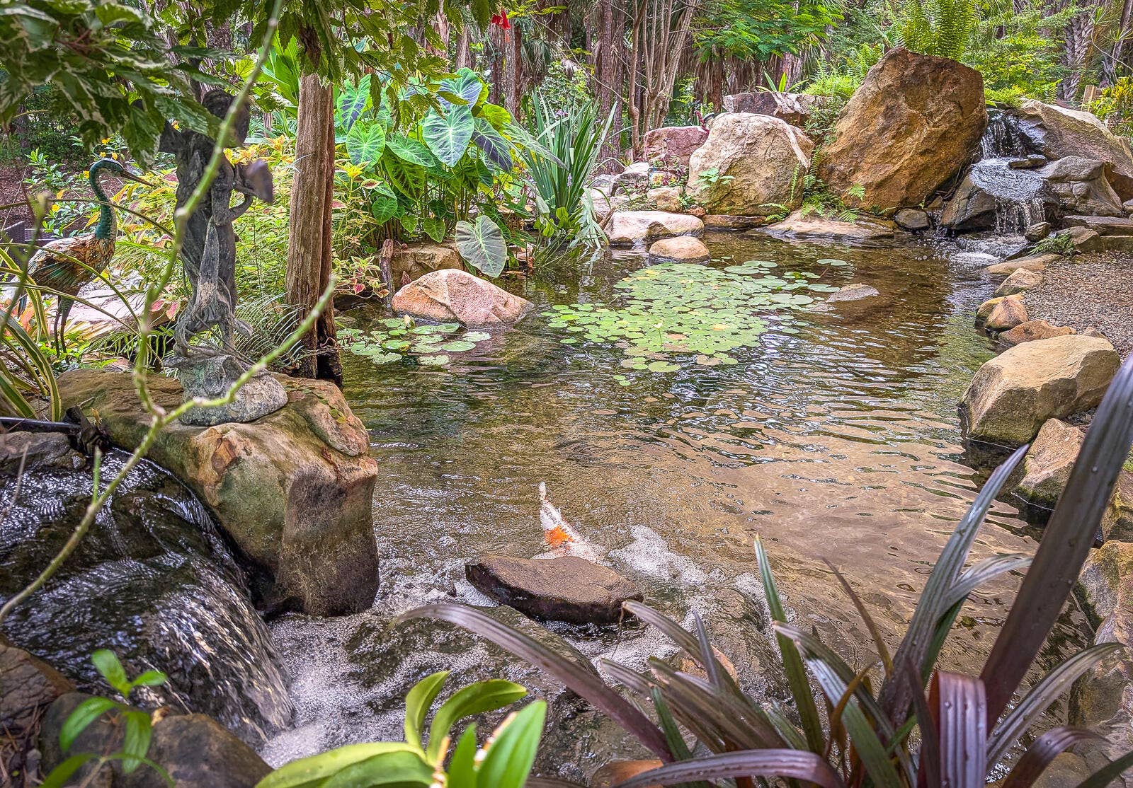 8259 155th Place N, Palm Beach Gardens, FL 33418 36-Koi Pond