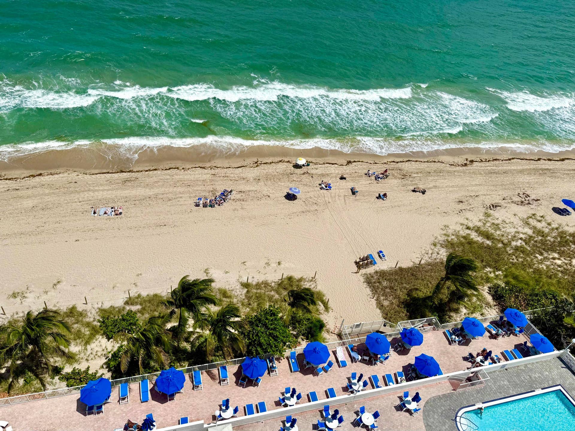 4250 Galt Ocean Drive, #14t, Fort Lauderdale, Fort Lauderdale, FL 33308 IMG_7125