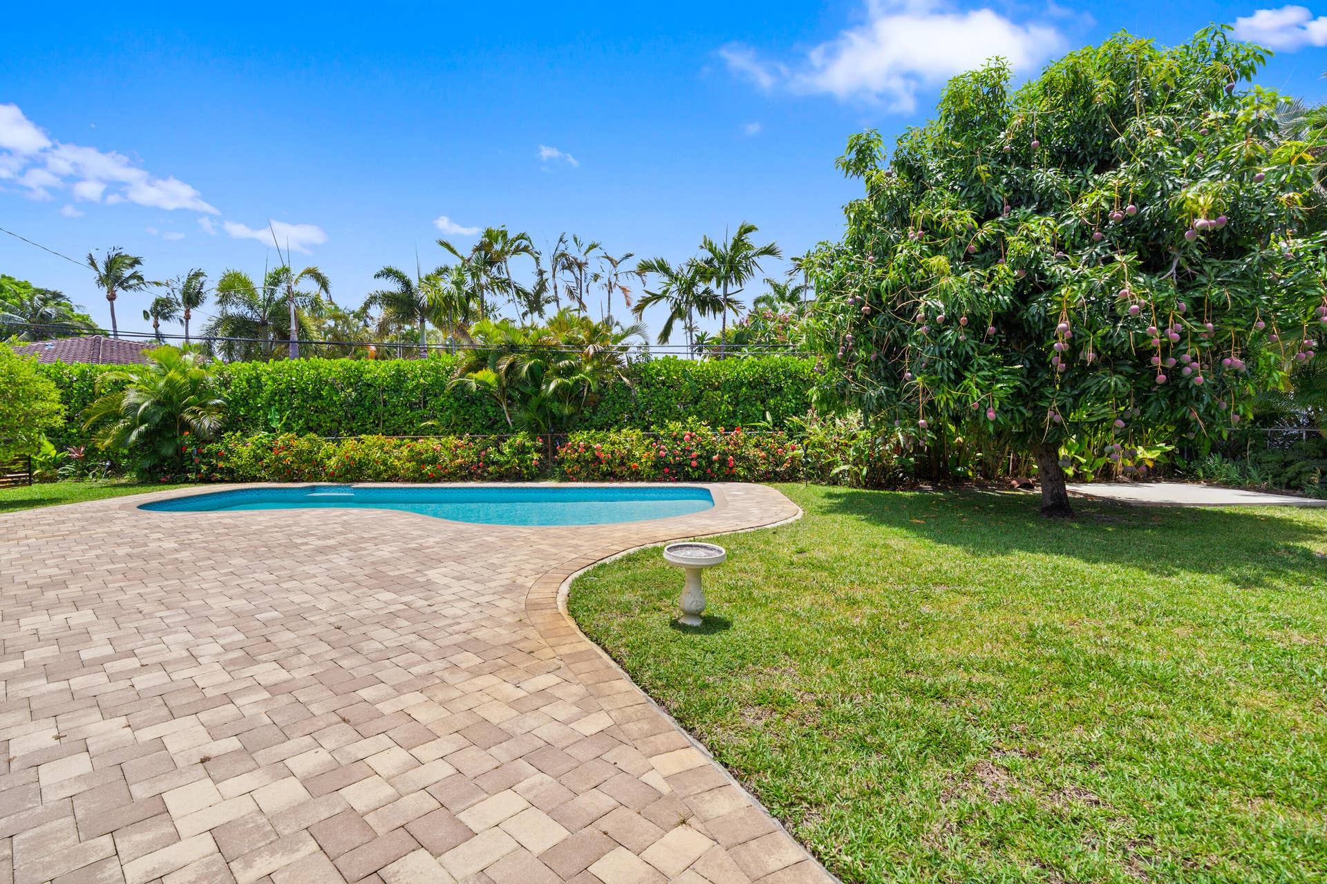 1705 NE 26th Avenue, Fort Lauderdale, FL 33305 DSC06273