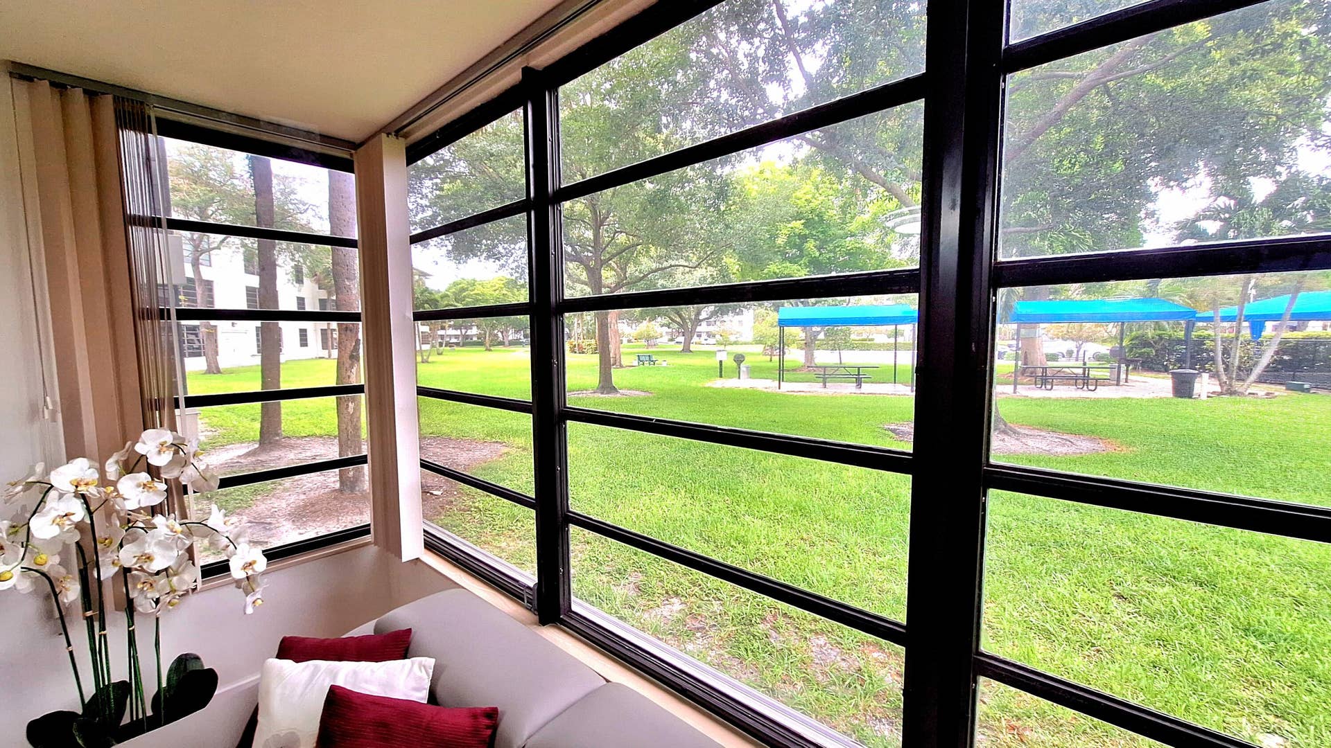 rear windows