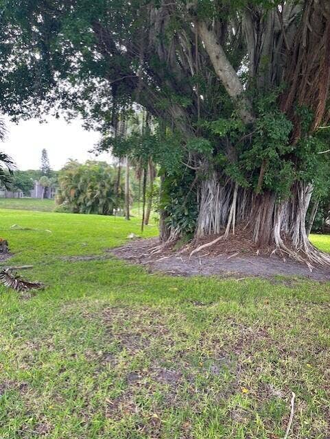 2600 Fiore Way, #2140, Delray Beach, FL 33445 2600banyonthumbnail_IMG_0563