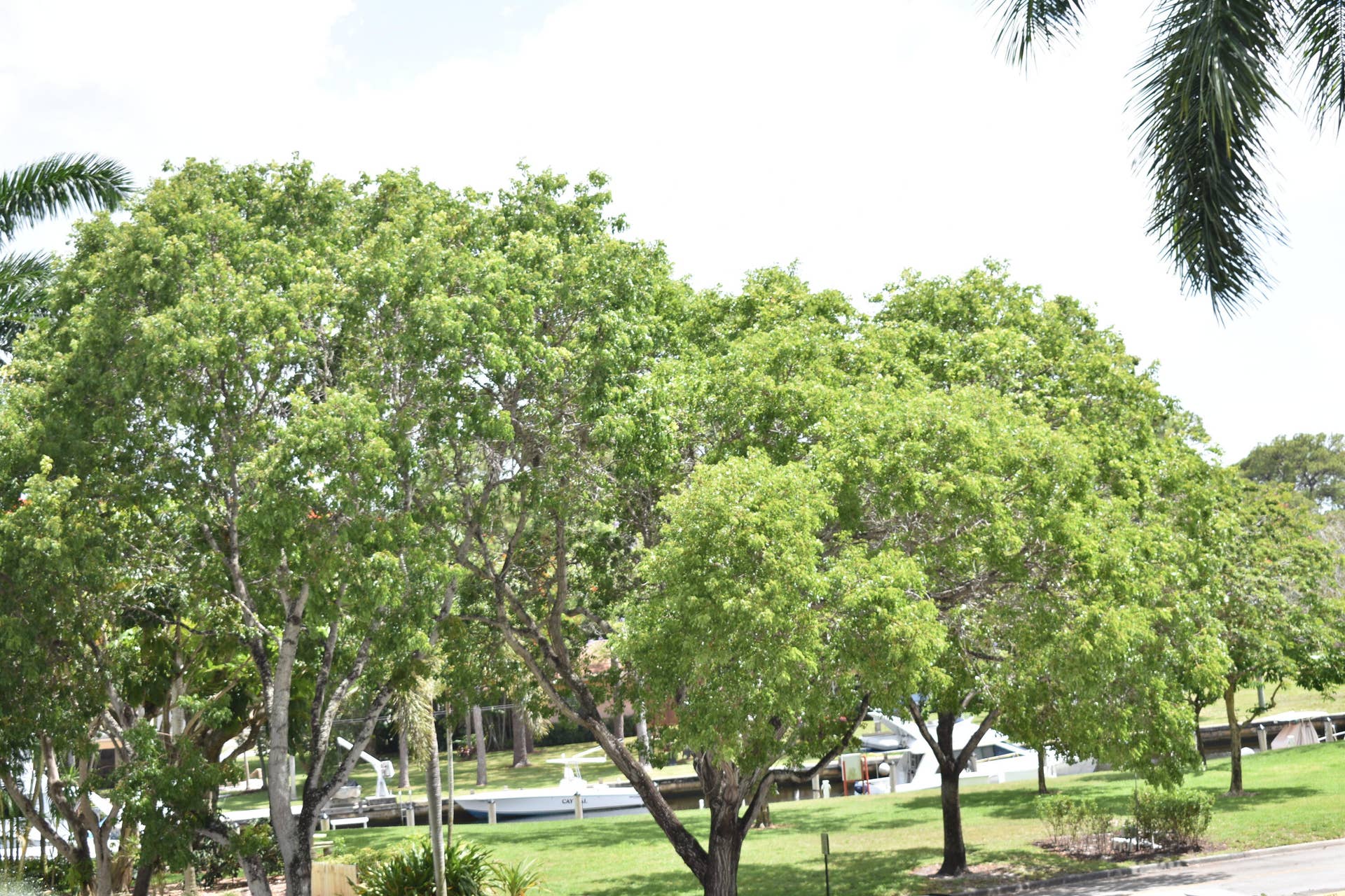 1101 River Reach Drive, #212, Fort Lauderdale, FL 33315 View