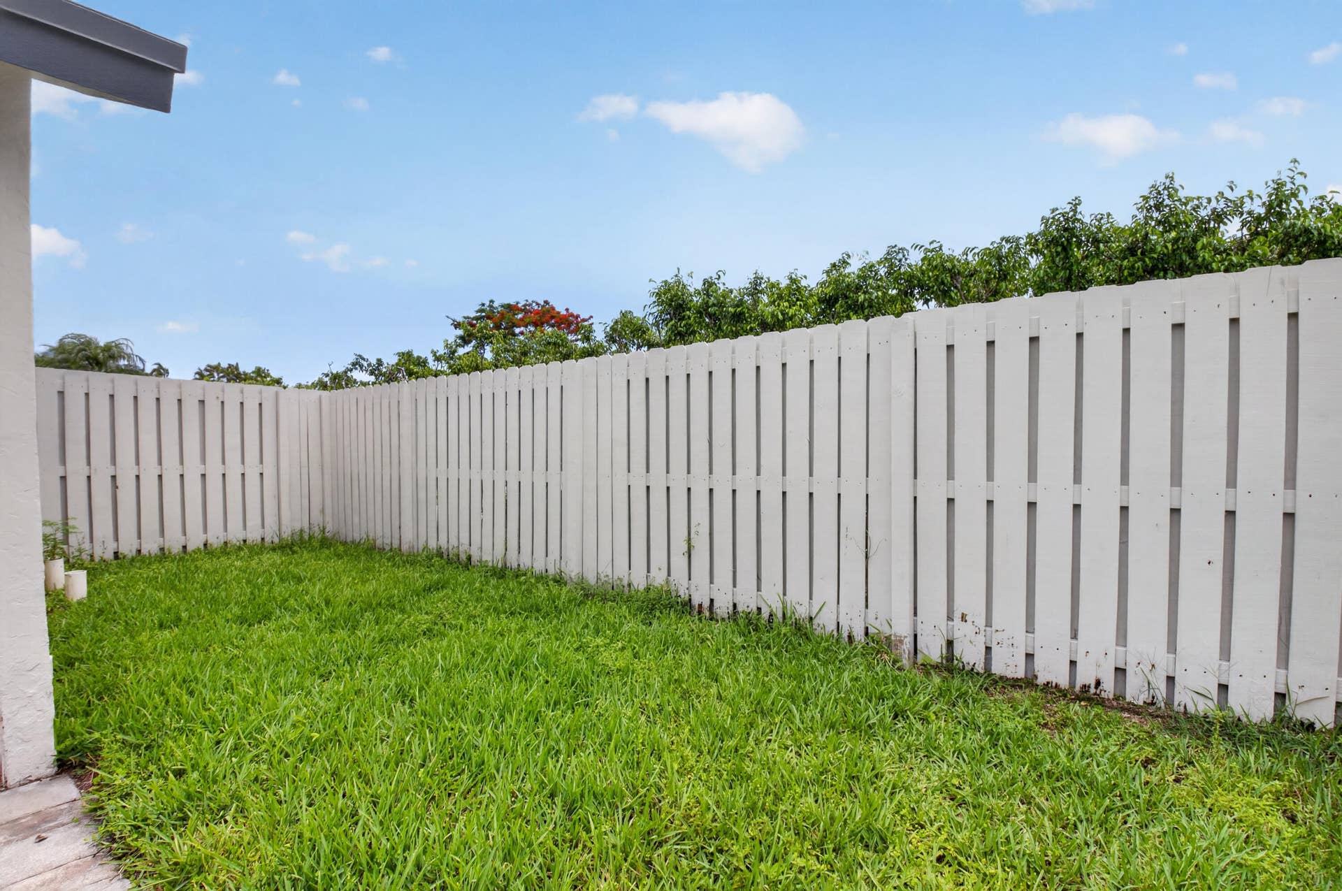 1315 NW 25th Lane, Delray Beach, FL 33445 backyard
