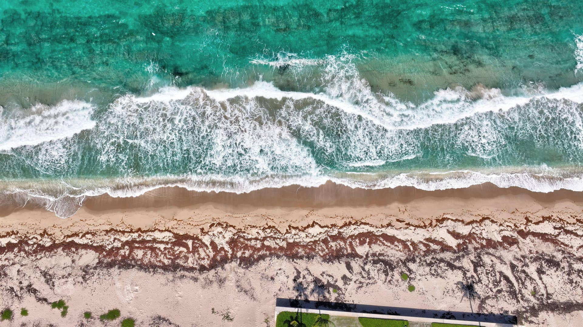 217 Plantation Road, Palm Beach, FL 33480 66-web-or-mls-DJI_20260518071328_0083_D_
