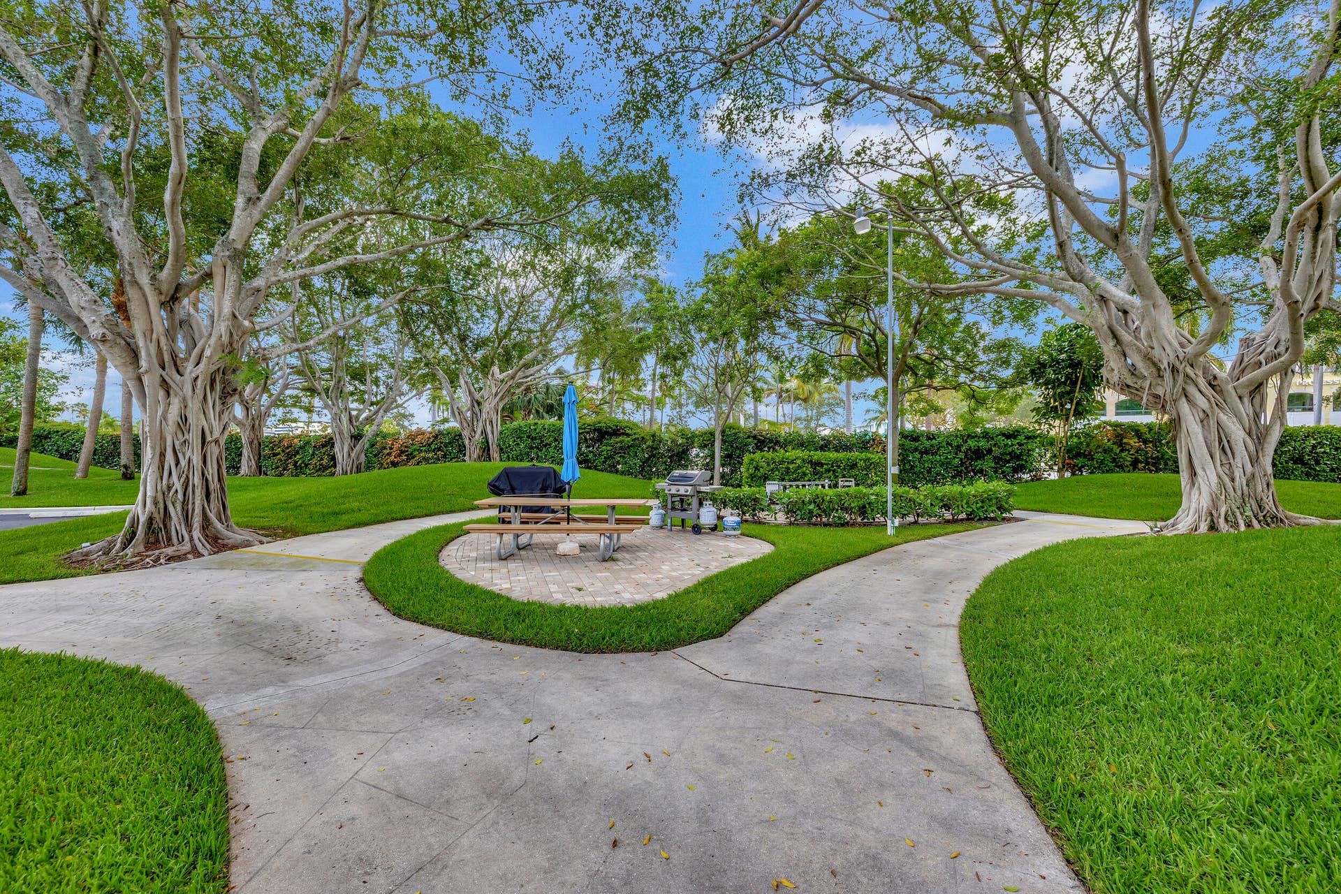 1537 E Hillsboro Boulevard, #239, Deerfield Beach, FL 33441 46_3w7a1097