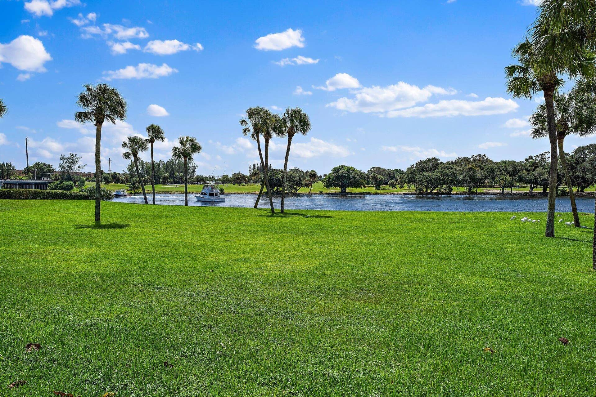 336 Golfview Road, #619, North Palm Beach, FL 33408 Gemini Back Area