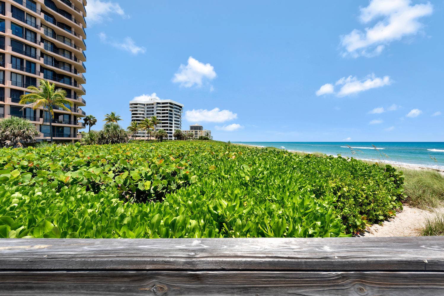 530 Ocean Drive, #202, Juno Beach, Juno Beach, FL 33408 20200729184653114350000000-o