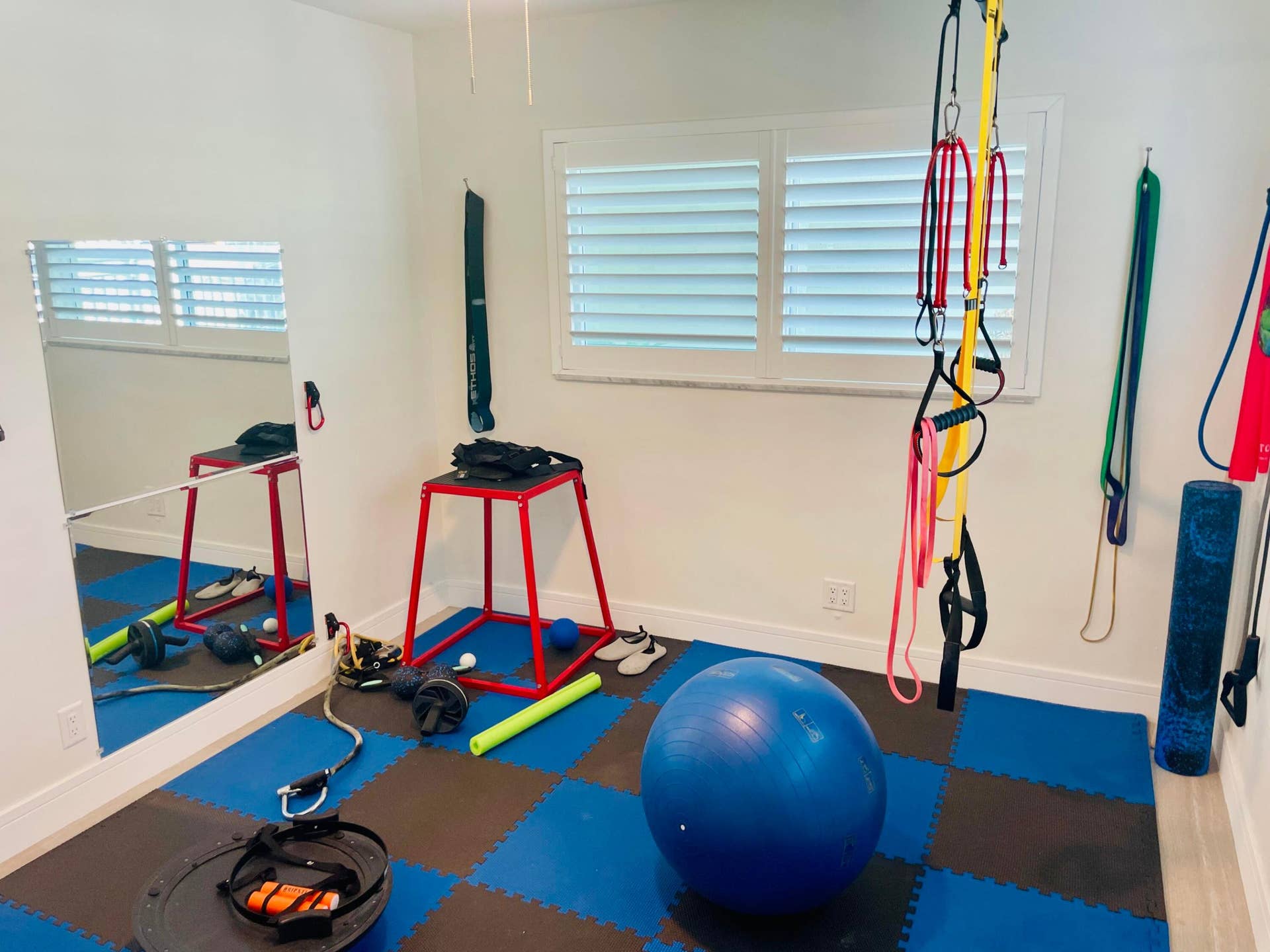 2nd Bedroom or Gym (2)