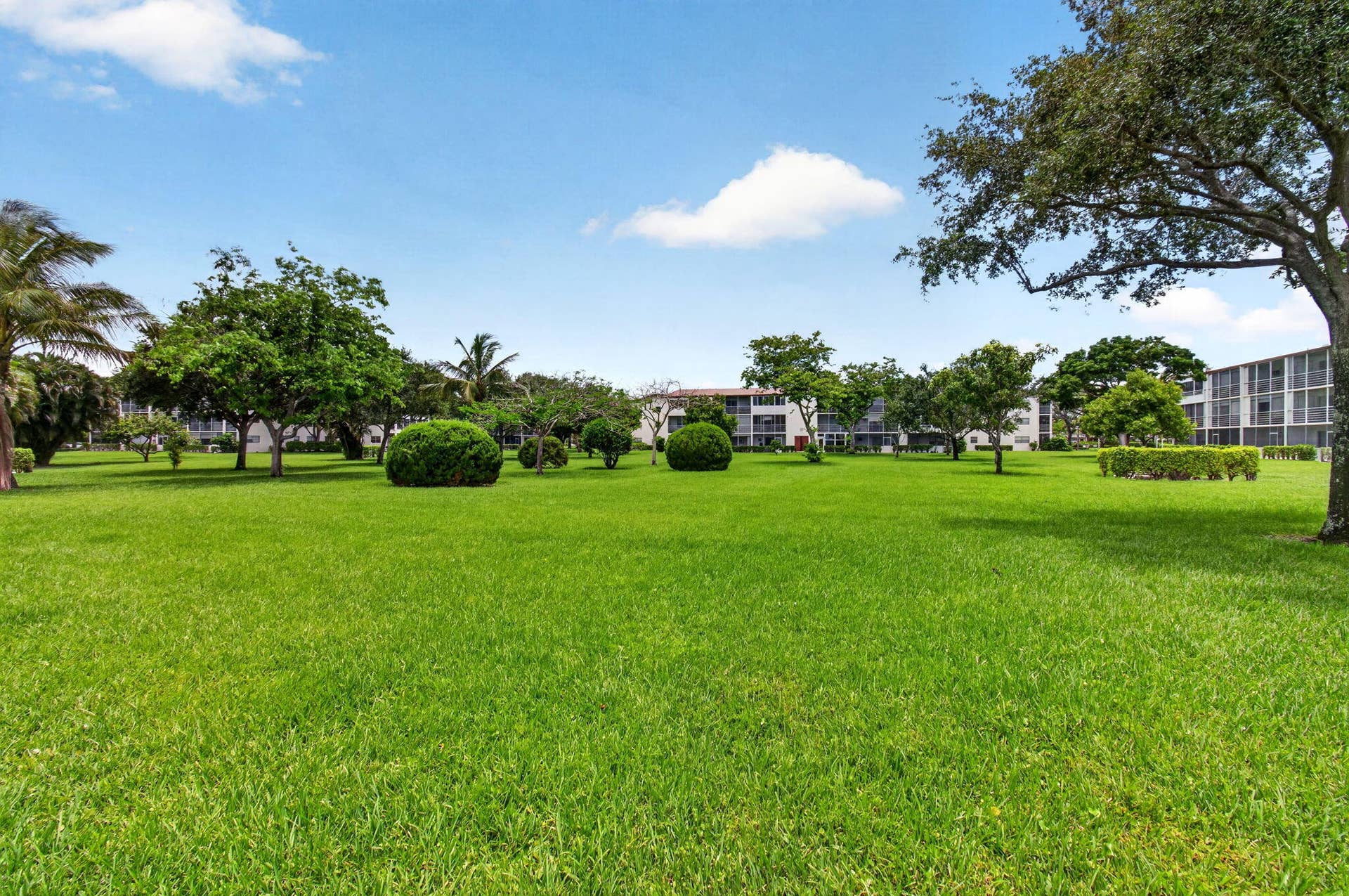 374 Brighton I, #374, Boca Raton, FL 33434 Backyard from the Building