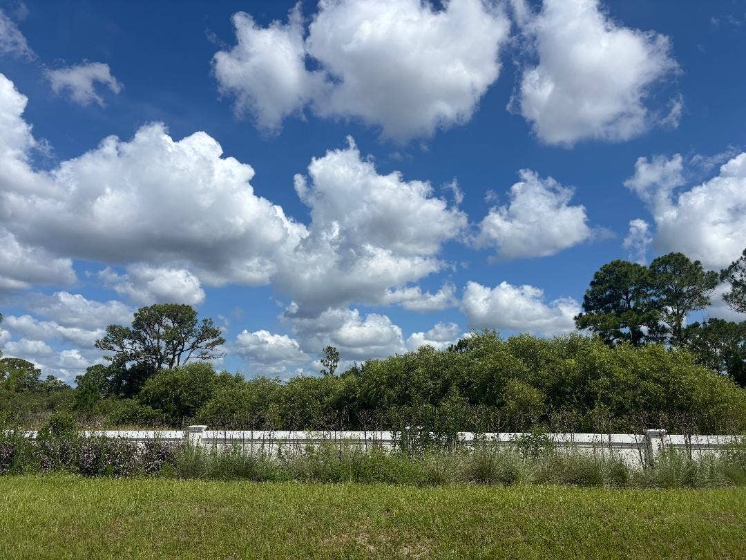 13101 Monte Rosa Court, Palm Beach Gardens, FL 33412 Lot 58 Back wall