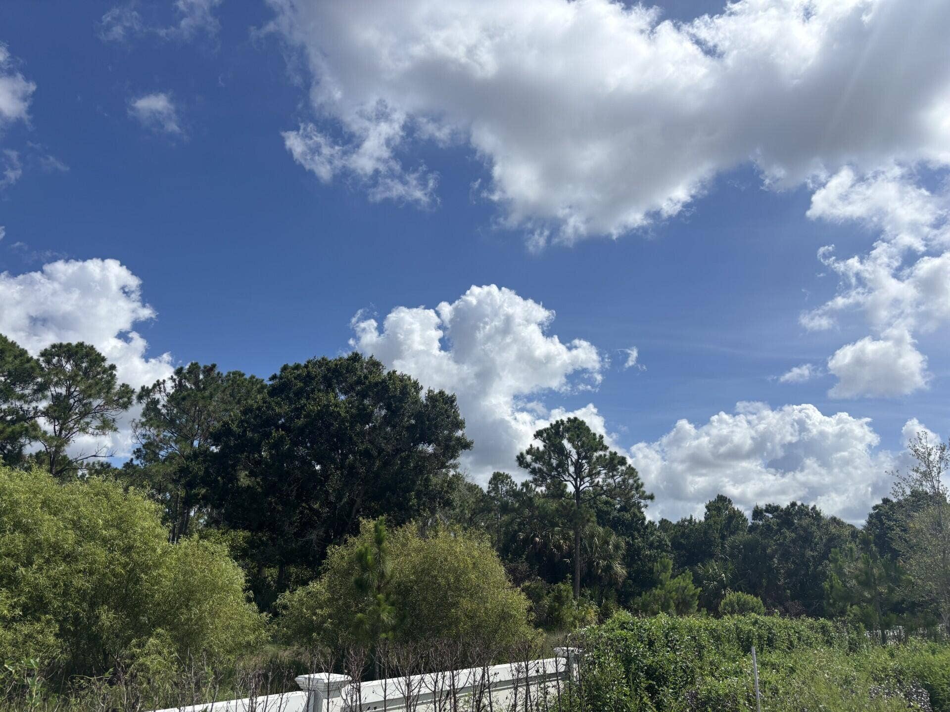 13101 Monte Rosa Court, Palm Beach Gardens, FL 33412 Lot 58 preserve right