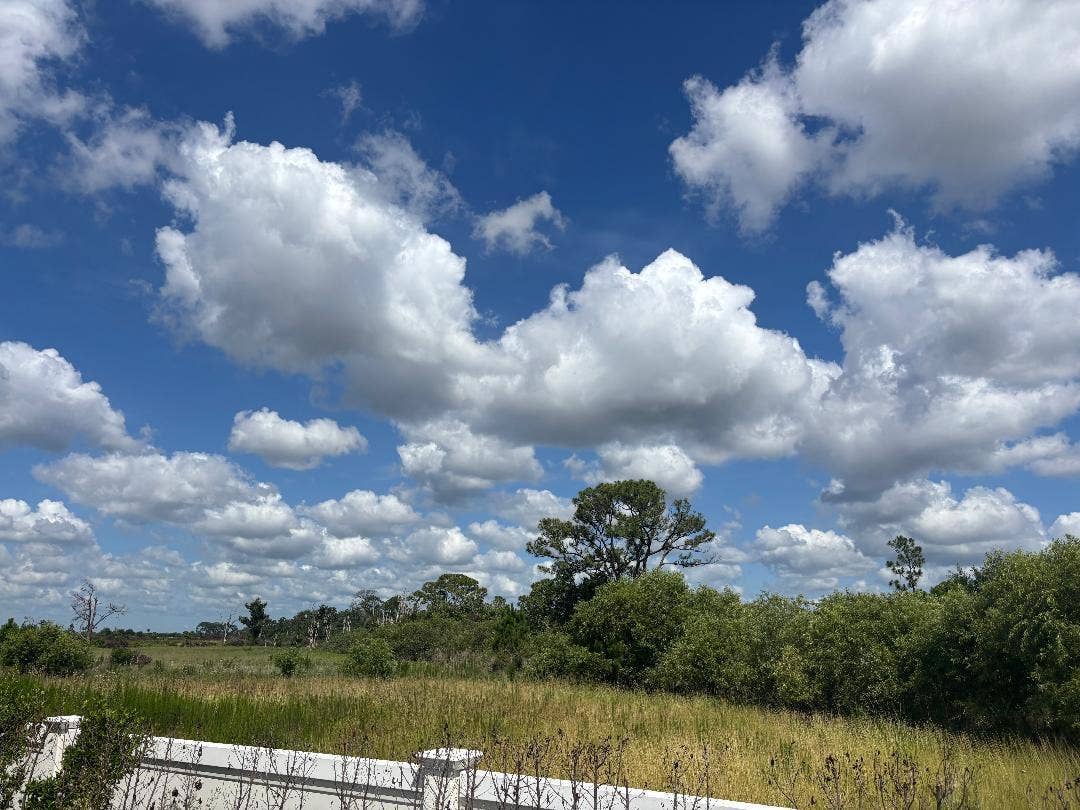 13101 Monte Rosa Court, Palm Beach Gardens, FL 33412 lot 58 preserve left
